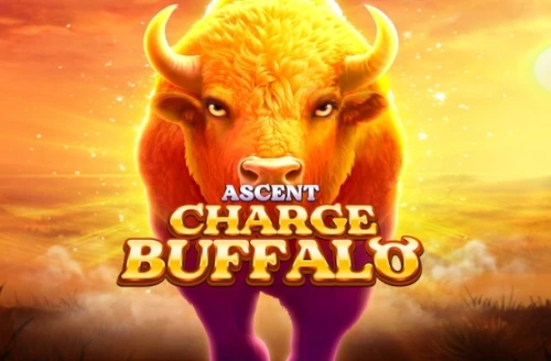 Charge Buffalo-ASCENT